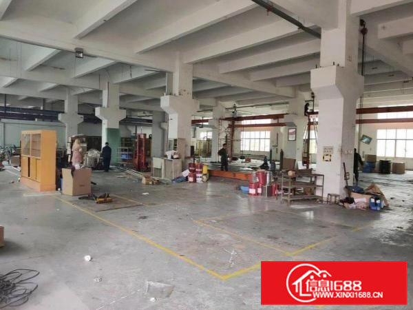 凤岗镇金凤凰工业区新出一二楼各1260平方厂房