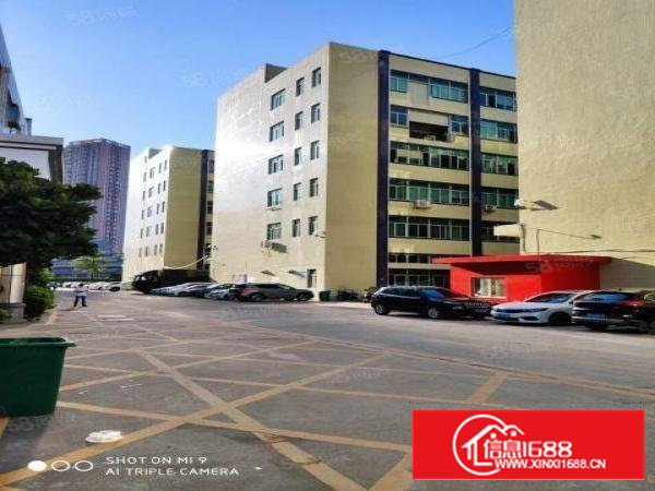 独门独院！受疫情影响低价出租乌沙厂房330平