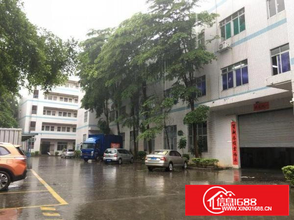 塘厦科苑城楼上400平方，打包六千元，现成装修，随时空出