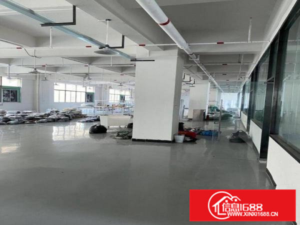 东莞大朗镇毛织中心市场附近厂房