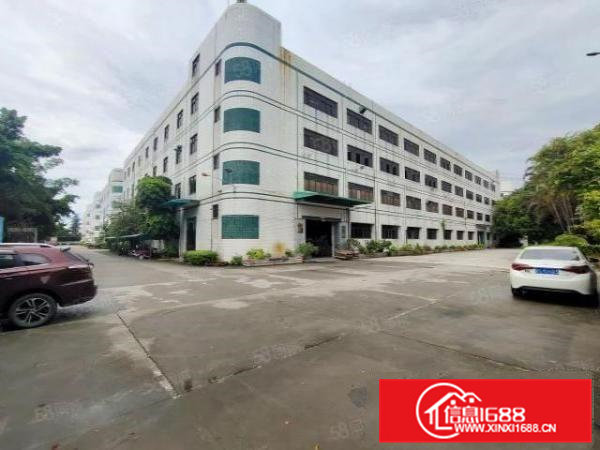 清溪浮岗标准一楼1300平招租现成装修可分租可办环评