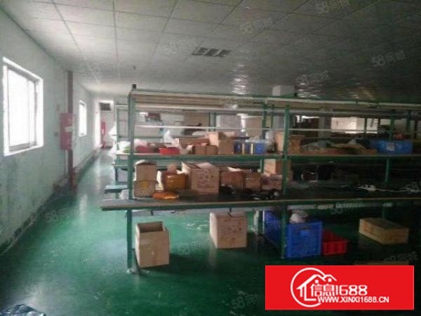 塘厦凤凰岗标准3楼800平方！实拍视频图片！电子车间免装修