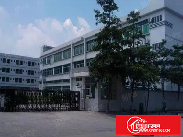 大朗镇经典独院三层厂房4800平方，独立办公楼