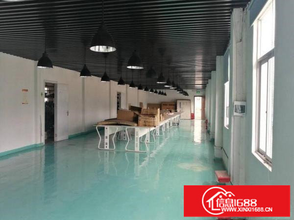 精装修办公室厂房800平方出租