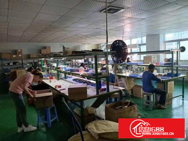 厦边新出二楼带豪华装修900平方米厂房出租