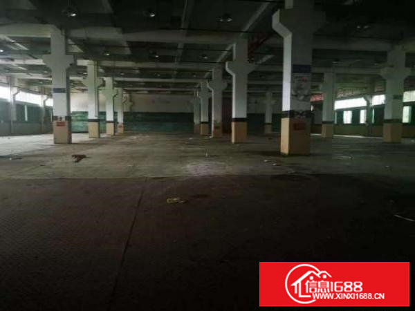 出租龙岗大运村委6000平方独院厂房可分租可生产可做电商仓库