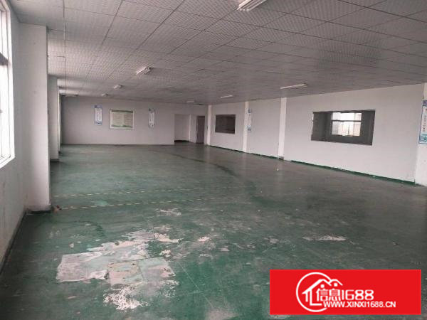 寮步原房东工业厂房分租三楼整层1000平方没公摊