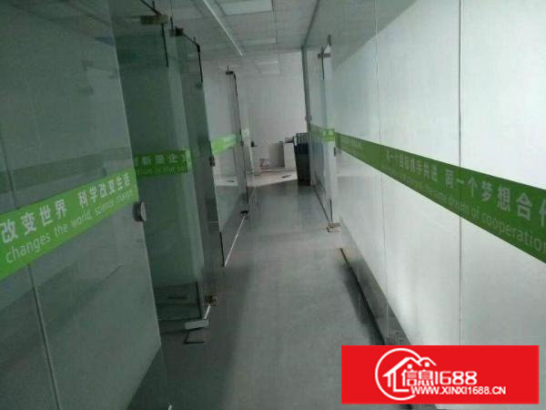 观澜福民1000平方厂房带装修不要转让费现房