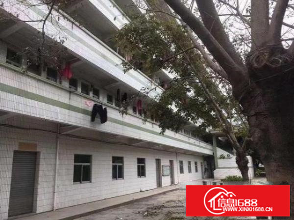 黄江原房东独门独院花园式厂房招租