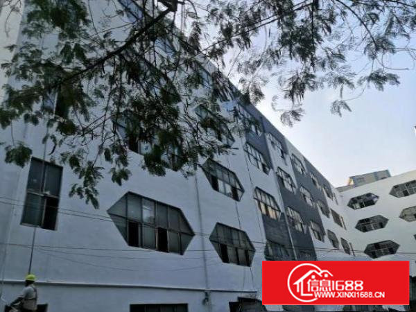 西乡客运站自有红本物业8000平米精装修招租