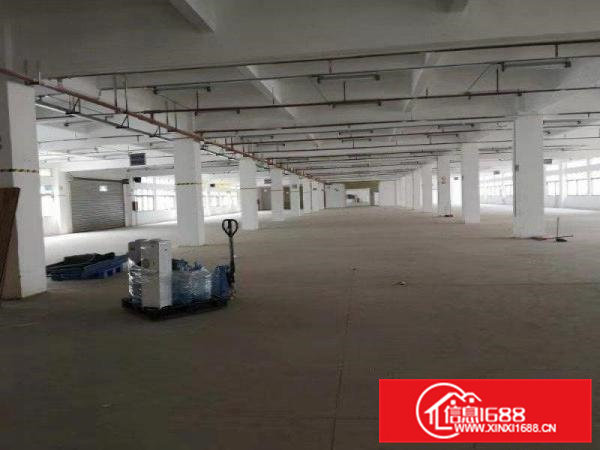 大岭山镇镇中心附近工业园楼上整层6800平方可分租厂房招租