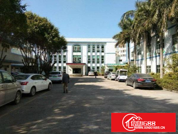 龙岗原房东10000平方独院厂房可分租