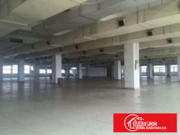 万江环城路外独门独院标准厂房5500平出租工业用地