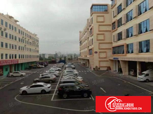 200起分坂田商业圈红本厂房单层1000平出租，共7000平