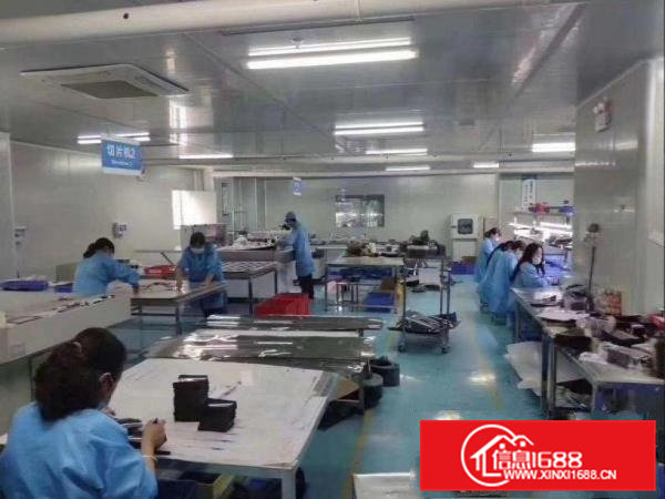 中坑厂房一楼700平米口罩厂！形象好