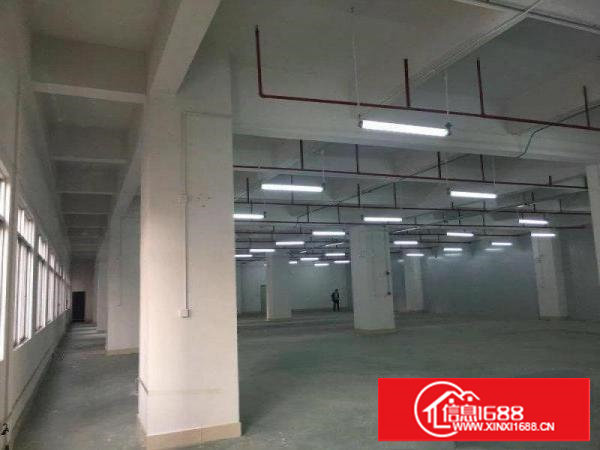 厂房招租4楼带货梯水电齐全2700平米招租