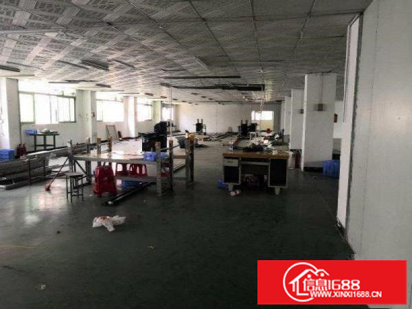 龙岗区新生村一楼980平方标准厂房出租