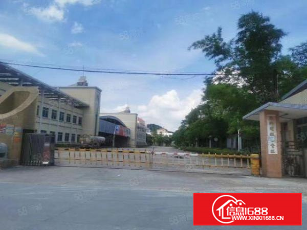 万江原房东独院单一层厂房，空地大，价格便宜