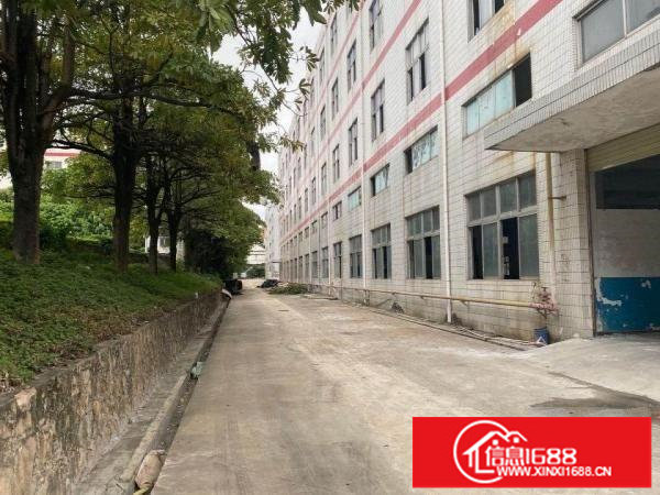 龙岗横岗高速口花园式厂房16320平厂房出租价格面议