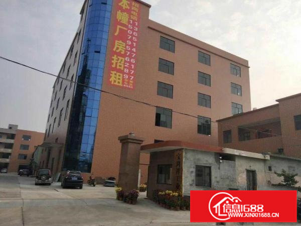 出租桥头镇桥东产业园全新重工业厂房