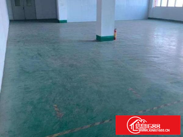 出租清溪银湖工业区360平方标准厂房水电齐全价格美丽