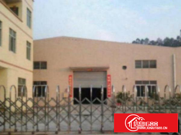 万江小亨单一层独门独院厂房仓库1600平方出租