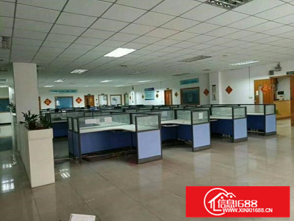 桥头镇新出标准三层独院厂房