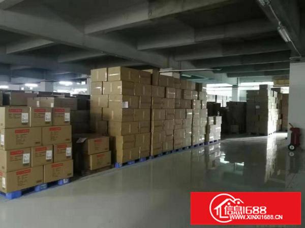 坂田天安云谷附近(原房东)现有1楼2000平厂房招租