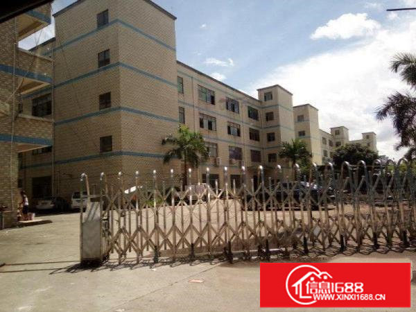 (可分租）平湖高速出口6600独院厂房