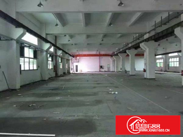 仲恺陈江高新园区红本喷淋6000平独院