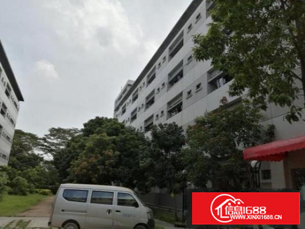 石碣原房东宿舍改厂房（改造中）出租：