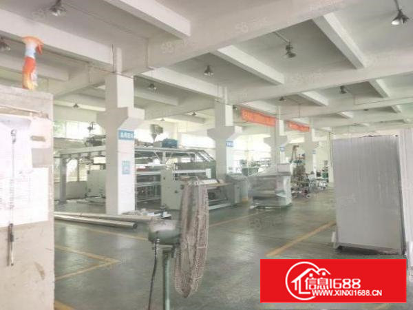 石岩龙大高速口原房东一楼1200平厂房出租，带牛角