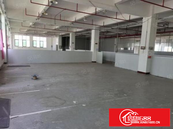 茶山原房东工业园分租标准一楼带现成装修，工业用地可办环评