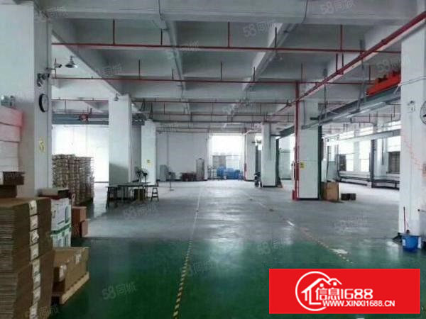 大岭山镇空出独院标准三层4000平方原房东厂房直租可分租