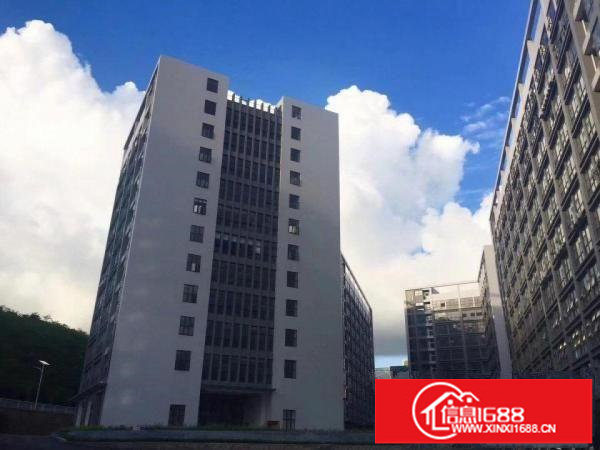 出租龙岗区坪地国际低碳城附近红本标准厂房大小分组环境优雅