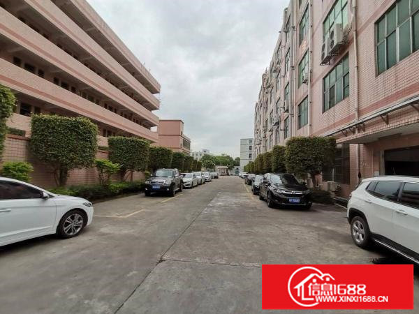 厂房出租横岗六约珠宝园精装修厂房1650平，100平起分租