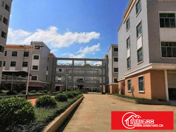 大朗镇洋乌工业区新出楼上700平方现成水电办公装修