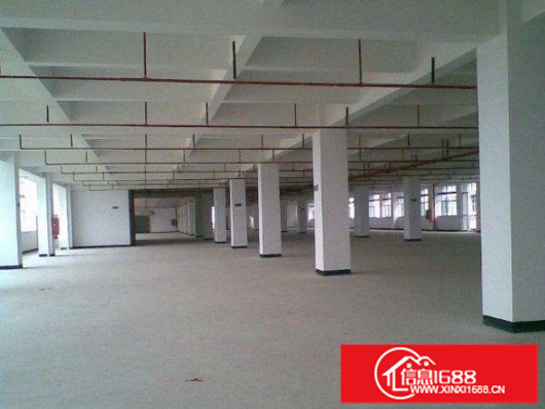 出租坪山新区坪山九成新标准厂房3000平独立宿舍1000