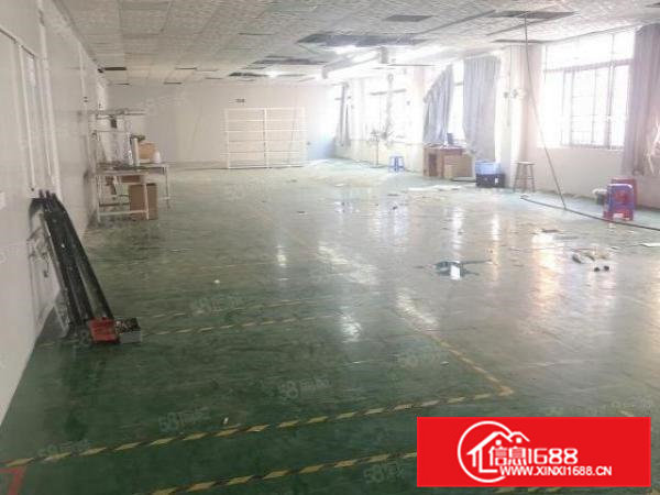 横沥神山工业区新出楼上500平方整层全新厂房出租，无基本电费