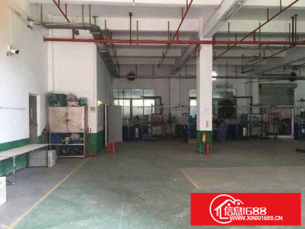 有装修.有装修.有装修.坪山三洋湖一楼300平厂房