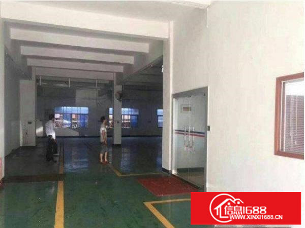 平湖新木村委一楼厂房500平方米超靓办公装修招租