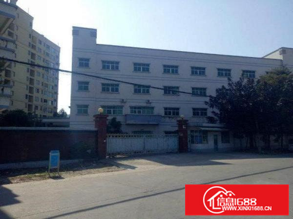 凤岗金凤凰原房东4000平方米独院厂房出租