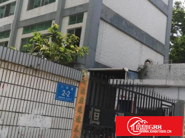 整栋红本独门独院厂房宿舍招租