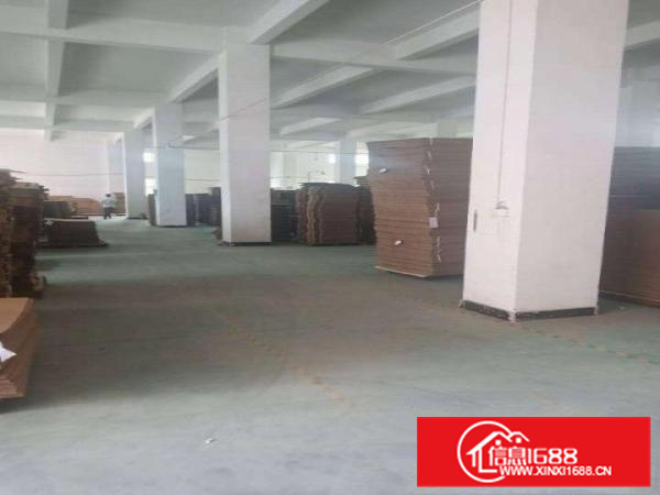 新圩约场标准厂房两层3976平一楼6米