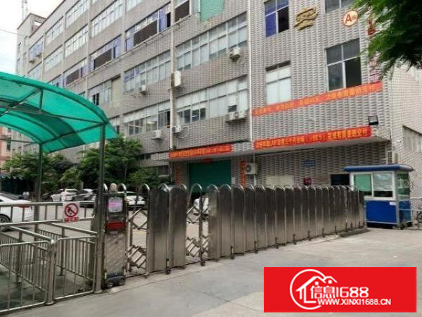 新田个人精装修厂房大小可分租100m2起分