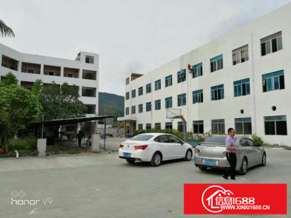 虎门龙眼新出独门独院厂房6000平方