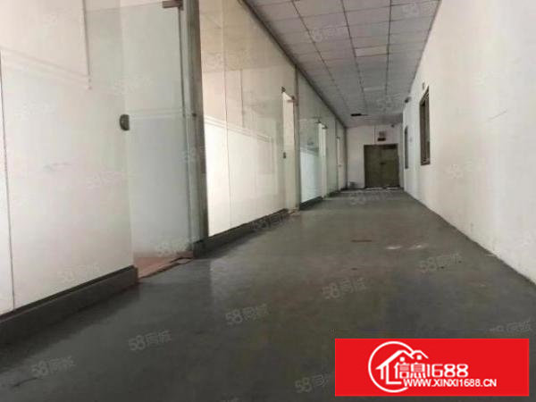 大浪原房东一楼1100平方米出租带装修