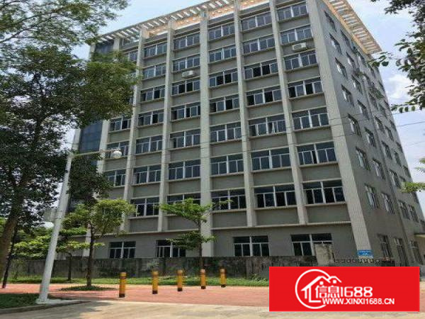 坪山石井办公室大小分租100平米起租物业直租