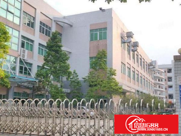 原房东地坪漆横沥西城工业区花园式独院厂房总面积13000平方