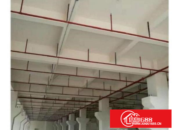 原东厂房，大小可分租，国土证，消防，环评